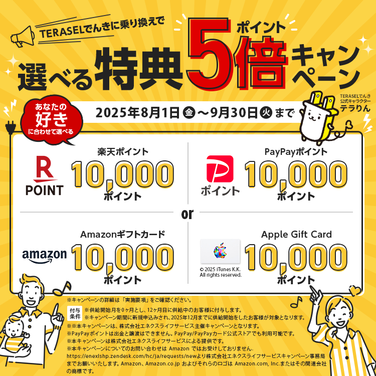 5倍キャンペーン！ TERASELでんき