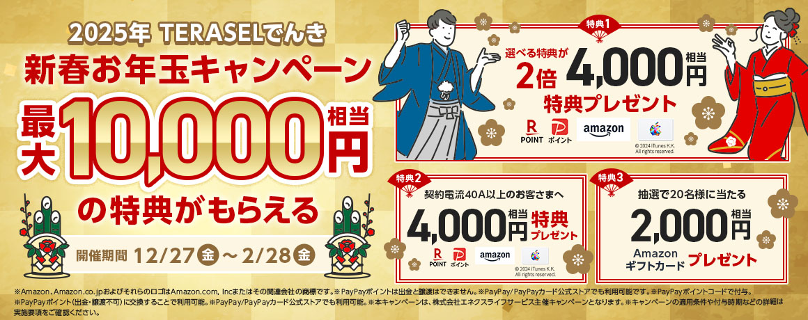 2025年　TERASELでんき　新春お年玉キャンペーン　最大10,000円相当の得点がもらえる　開催期間12/27金〜2/28金